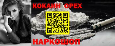 apvp Лесосибирск