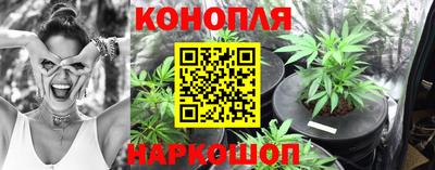 apvp Лесосибирск