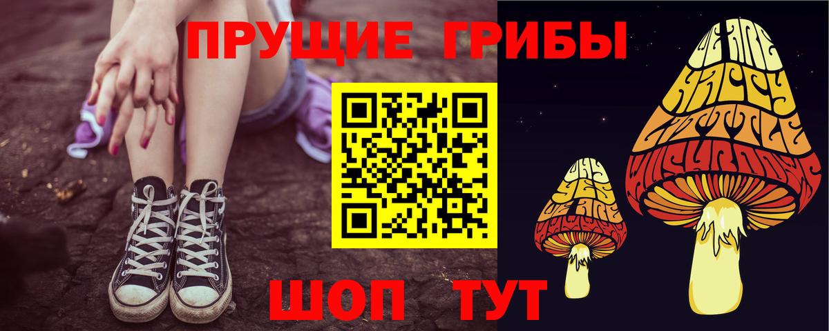 Галлюциногенные грибы GOLDEN TEACHER  Вход с VPN  Гусь-Хрустальный 